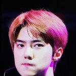 [EXO] ㅈㄴ 뿡빵거려ㅠㅠㅠㅠㅠㅠ미챠 삐약삐약 <b>오새</b>혼