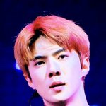 [세훈] 180927 <b>코세</b>페 프리뷰24