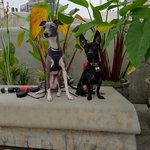 저희 강<b>쥐들</b>이에요.