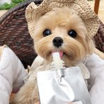 아 알바하고싶다