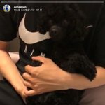 [EXO] 세훈 인별<b>스토리</b>(인라 다시보기) 먹물 경수