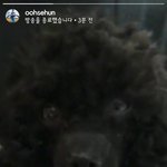 [EXO] 야 왜 아무도 세훈이 인라했다고 안알려줬냐ㅠ