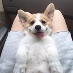 나 중2인데 영어 점수 조카 <b>오름</b> ㅜㅜㅠㅜ
