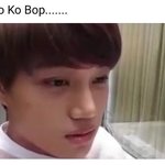 [EXO] <b>해외팬</b> 자꾸 코밥이 한다고 하면