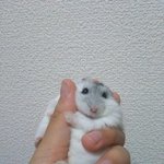 ㄹㅇ 청순 <b>투명</b> 메이크업