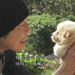 [드루와] 엑소 춤 논란 <b>Jpg</b>