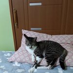 건방지게!니가 거기서 <b>자면</b> 나는 어디서 자라고!!