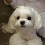 [드루와] 화장진하게할려면 뭘 해야됨