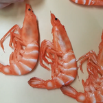 [드루와] 와 조카 ㄹㅇ새우같이생김 이거