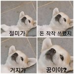 연예인 좋아하는 거에 스트레스받아