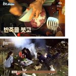 [드루와] 효리네<b>민박</b> 보면서 신기했던 부분