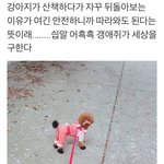 [드루와] 얘들아 강아지 <b>입양</b>