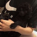 [댓글부탁해] 난 손에 <b>핏줄</b> 쩌는 남자가 그르케 좋드라..