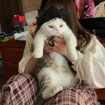 [드루와] dkbbb__ㅏ족팔려ㅠㅠㅠㅠ