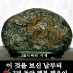혹시 벌레 보이는 <b>환각</b> 뭔지 아는사람