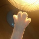 <b>캐주얼</b>이랑 스트릿 차이 머야??