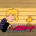 [조언부탁해] 나중에 뭐해먹고살지....