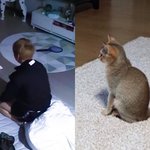 [강다니엘] <b>오리</b>오빠랑 <b>오리</b>랑 닮았어