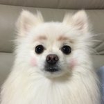[드루와] 흔하지 않은데 예쁜 이름 아는 사람 있오 ?