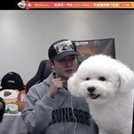 엥 세훈님 옆에 있는 강아지 이거 진짜야?
