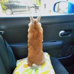 [댓글부탁해] 브이로그 찍을건데 콘텐츠명 이거어때??