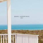 [드루와] 얘들아 나 내일 <b>혼영</b>하려는데