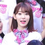 마지막 9월. 벚꽃이 핍니다