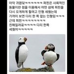 [댓글부탁해] <b>ASMR</b> 팅글 개쩌는 거 추천 좀 ㅎㅎㅎㅎ