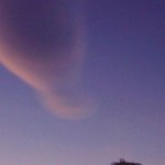 <b>비염</b>은 왜 생기는 걸까