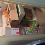 <b>북문</b>이와 4마리새끼 그리고 평촌이 현재 근황~~~