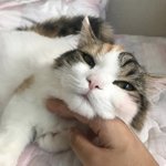 [댓글부탁해] <b>중고</b>딩스러운 옷 뭐가 있을까