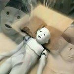 만약 서술형에 생식세포 <b>분열</b>을 하는 이유 쓰라했는데