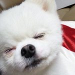 [드루와] 심심할 때 볼 드라마 추천해줄게