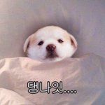 살 거 List