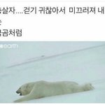 [드루와] 나 탈덕 부정긴지 봐주라