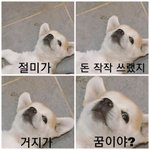 [댓글부탁해] 하복에 후리스 입으면 추울<b>거가</b>틈?