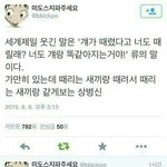 [댓글부탁해] 요즘 <b>체육</b>시간에 뭐해?