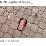 [댓글부탁해] 나랑 라인할분 <b>라디</b>좀 줘