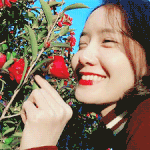 [연예인] 내가 생각하는 남녀 아이돌 <b>비쥬얼</b>탑은 윤아 뷔임
