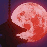 <b>RED</b> MOON