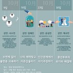 <b>못자</b>는 나, 자존감이 낮은 나, 거절못하는 나, 눈마주치면 으르렁거리는...