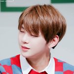 [강다니엘] ㅅㄷ)녤부리들아