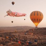 [강다니엘] 코룽이의 세계여행