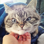 [드루와] 전국 모나리자들 다 들어와