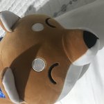 [드루와] 내 둘째 이름 골라죵