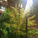 카톡<b>정지</b>먹어본사람?