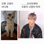 [강다니엘] 단호한 <b>오리</b> (강다니엘 시리즈)