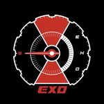 엑소로고 개신박하다