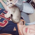 +) 강다니엘 <b>브이앱</b> 봤어?
