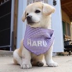 [댓글부탁해] 투애니원 노래 추천좀